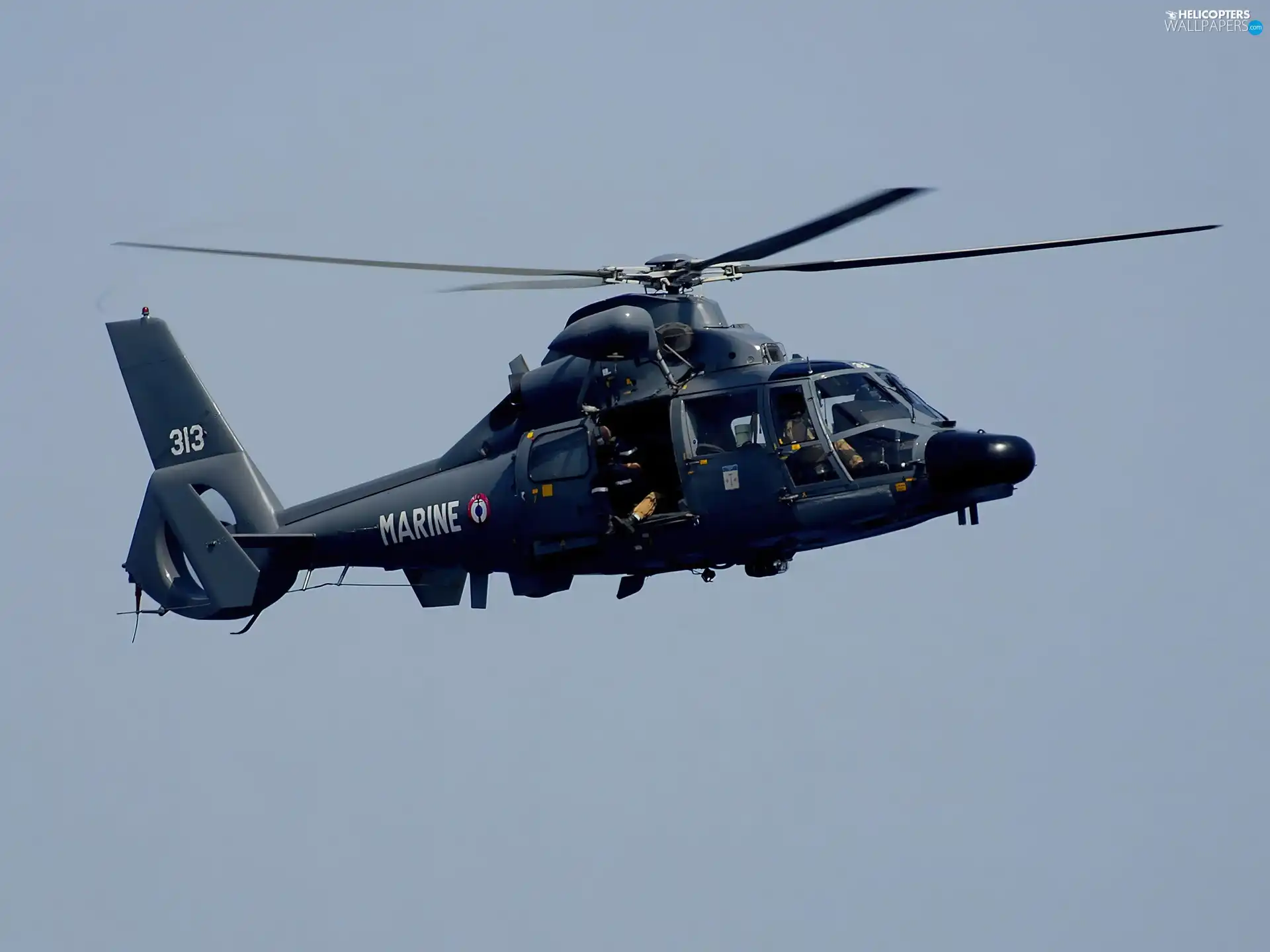 Eurocopter AS-365N Dauphin, Marine