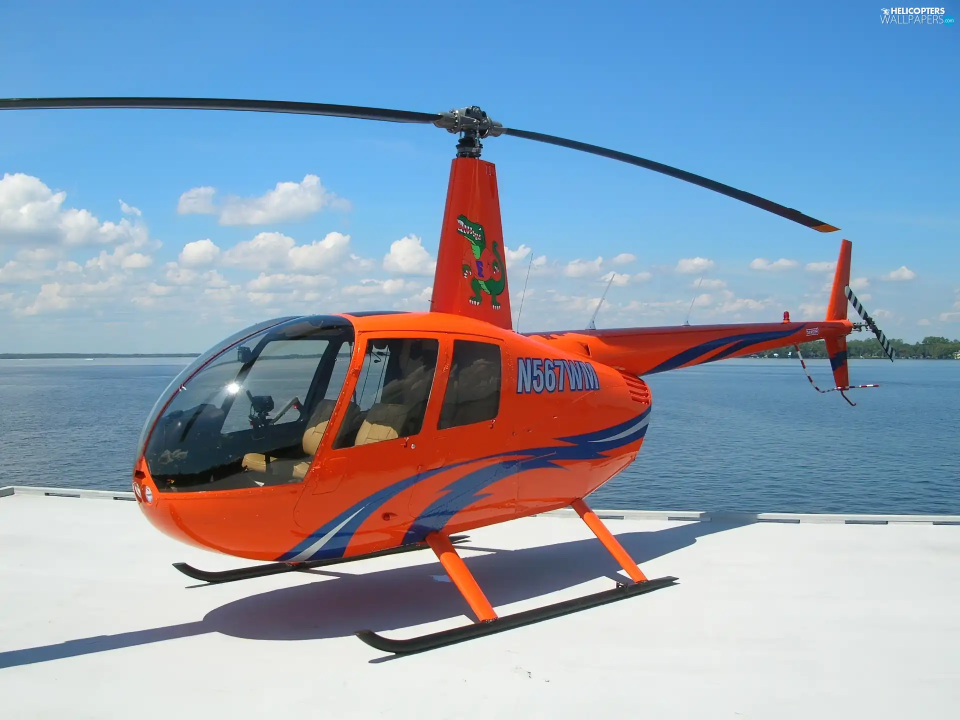 Raven-II, Robinson Helicopter Company, R44